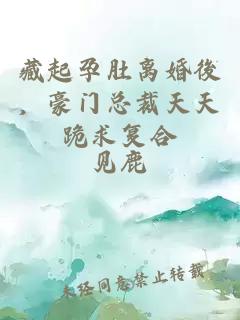 藏起孕肚离婚後，豪门总裁天天跪求复合