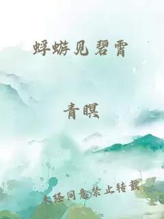 蜉蝣见碧霄